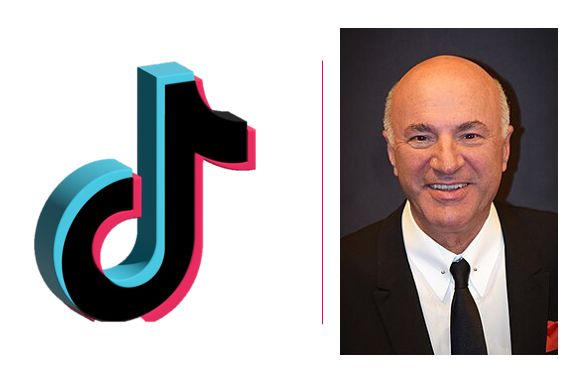 Kevin O'Leary has a plan to save TikTok
